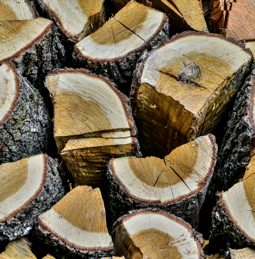Oak – QC Firewood